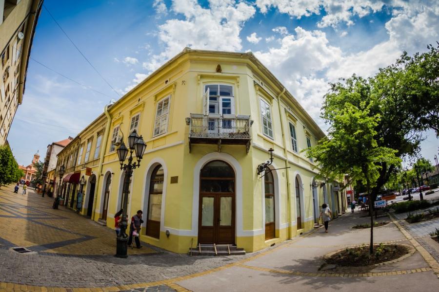 Zmaj Jovina ulica